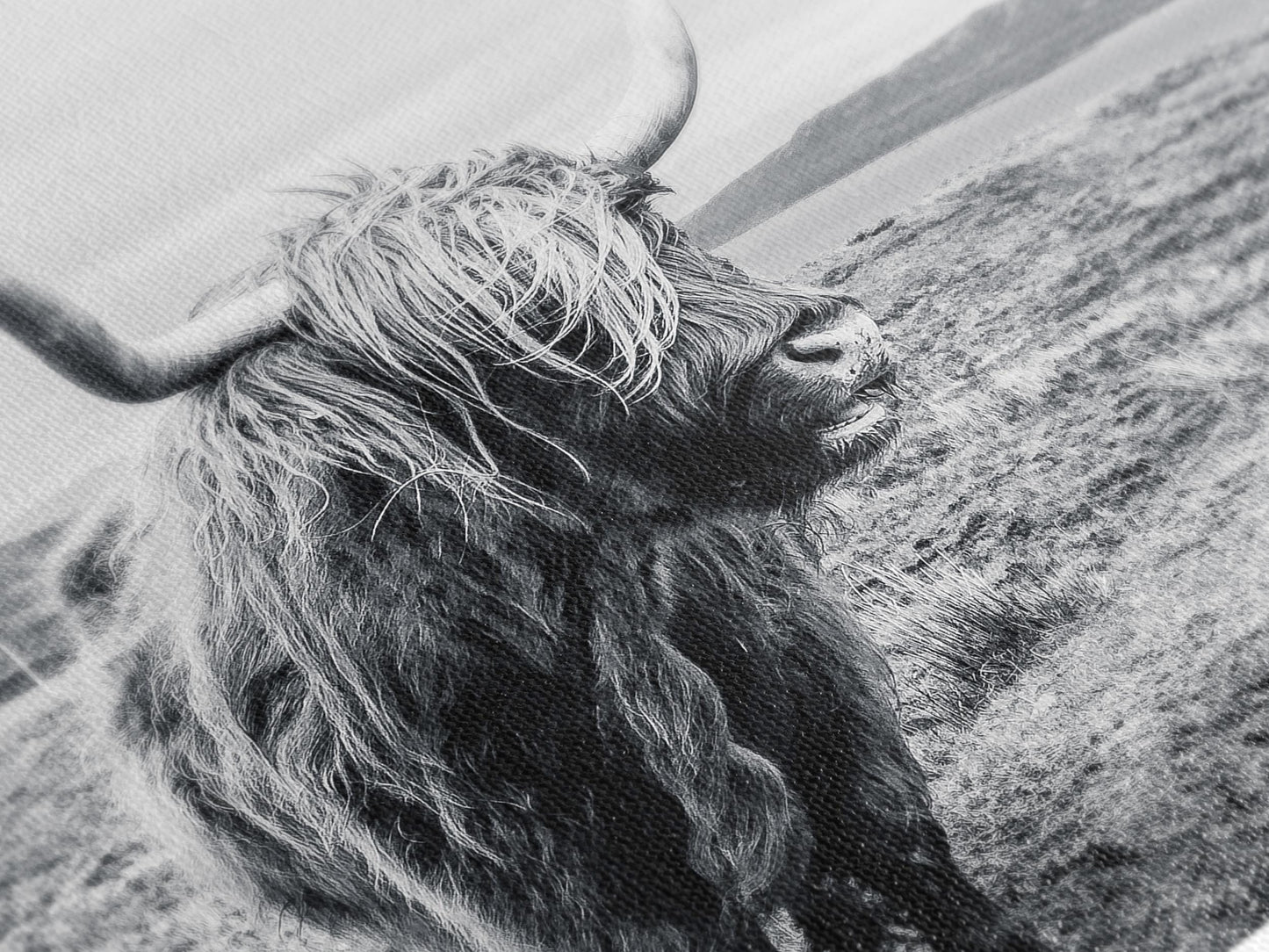 Highland Cow Leinwanddruck, Schwarz-Weiß-Wandkunst im Landhausstil, Übergroßes Landhaus-Dekor, rustikales Highland Cattle Kunstwerk für gemütlichen Raum