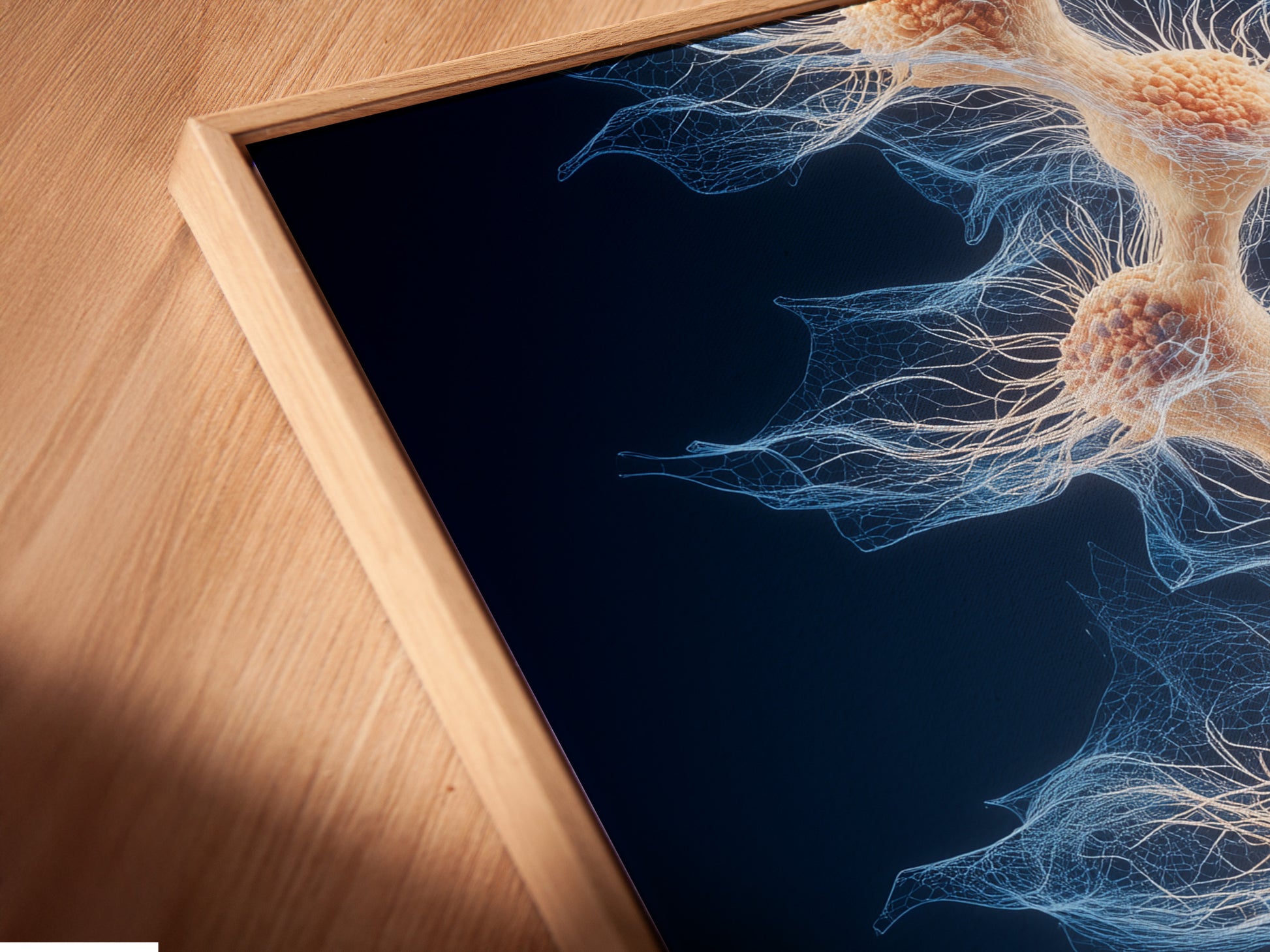 A close up shot of a canvas print in a floating frame. The artwork is displayed in a modern way. The floating frame adds depth to the art. The canvas print is high quality. Purchase a floating frame for your canvas print today.