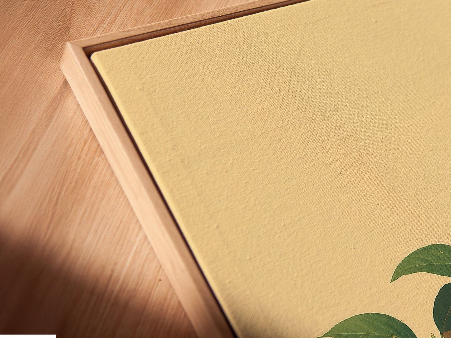 Close-up of a Citrus Fruit Canvas Print in a floating frame. The floating frame gives a modern look to this kitchen wall art. This still life print is perfect for a dining room. Botanical decor that enhances any space.