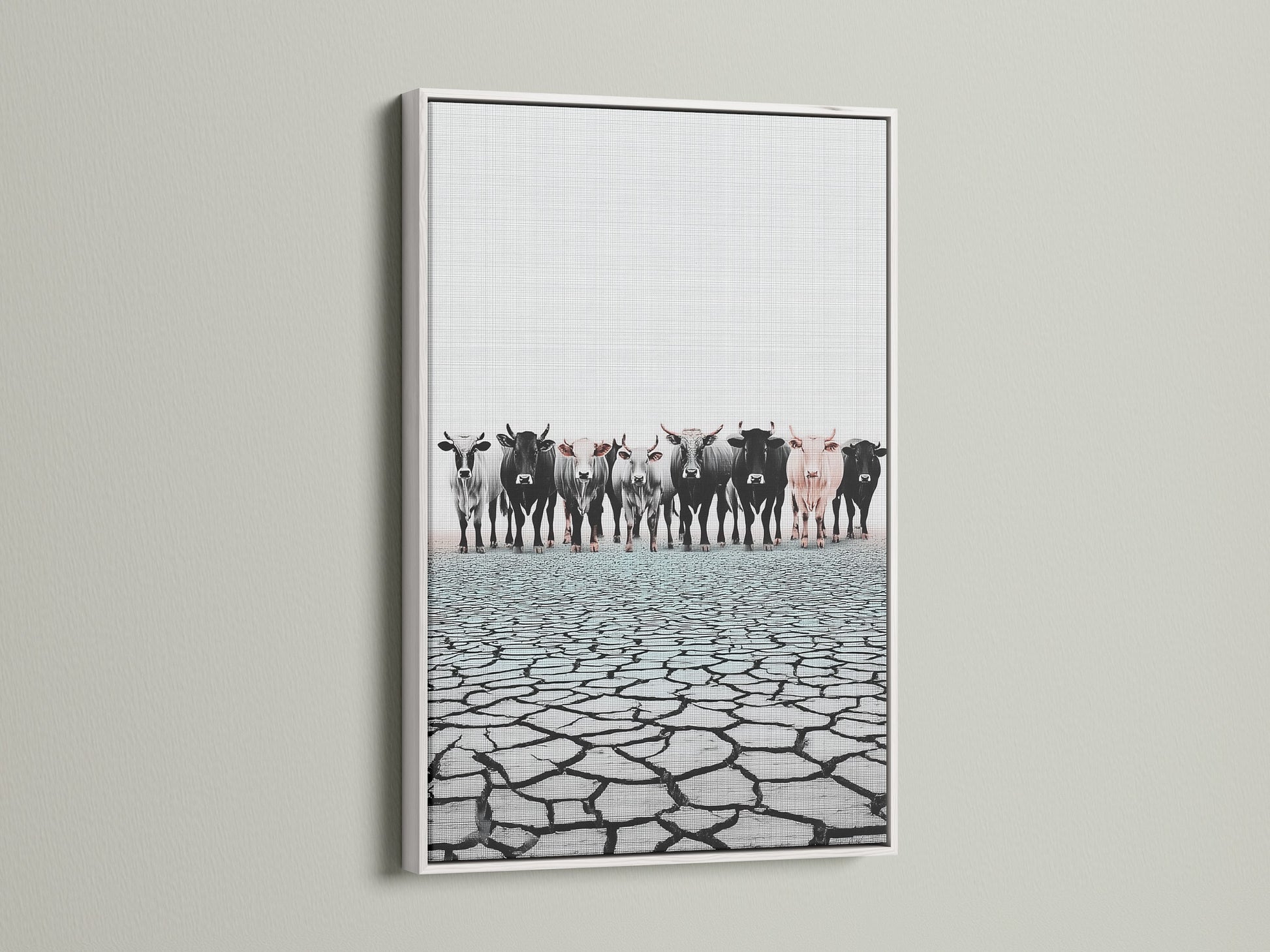 Cattle canvas print in a white frame. A stunning piece of farm animal art. Ideal for adding a touch of country charm. Explore our white frame options for your home or office.