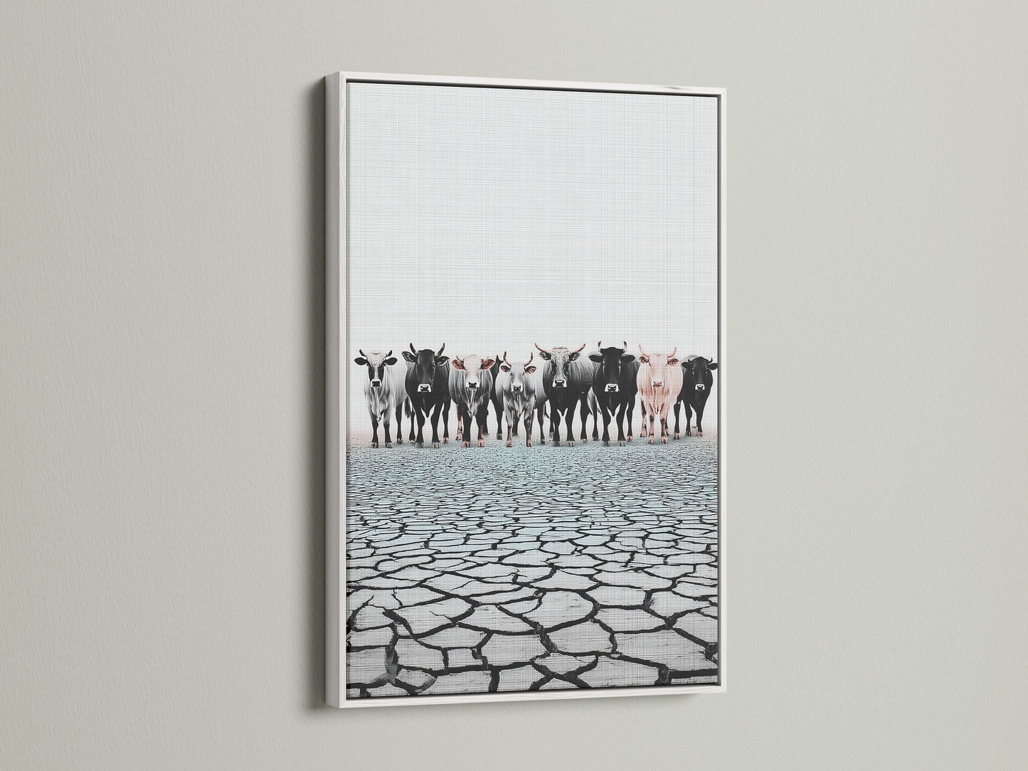 Cattle canvas print in a white frame. A stunning piece of farm animal art. Ideal for adding a touch of country charm. Explore our white frame options for your home or office.