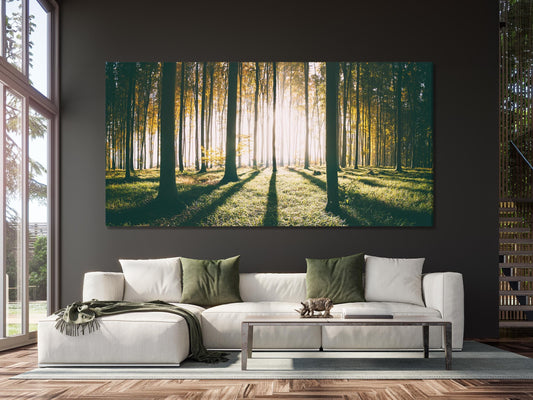 Enchanting forest canvas print highlighting soft sunlight filtering through towering trunks, creating a tranquil painting that complements modern or rustic artwork themes.