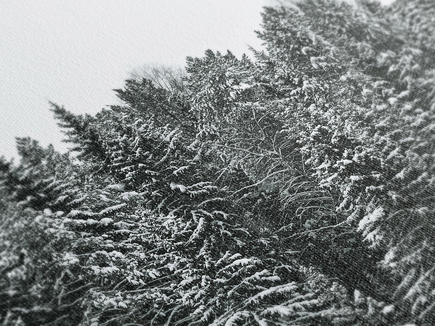 Winter Art Print Pine Trees Canvas Art Snowy Forest Wall Decor Winter Nature Landscape Print Modern Winter Wall Art Pine Tree Artwork Print