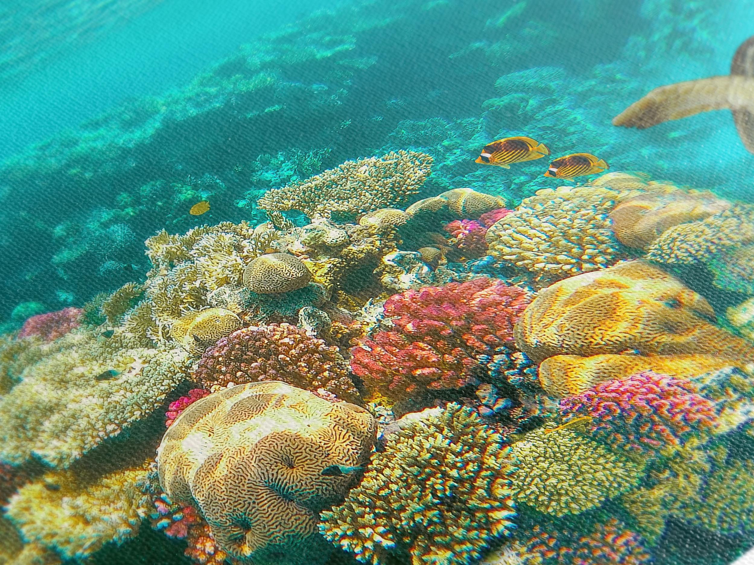 Cetakan Kanvas Terumbu Karang Bawah Air, Seni Dinding Penyu Laut dan Ikan Tropika, Landskap Lautan Besar, Hiasan Hidupan Marin, Karya Seni Laut Ceria