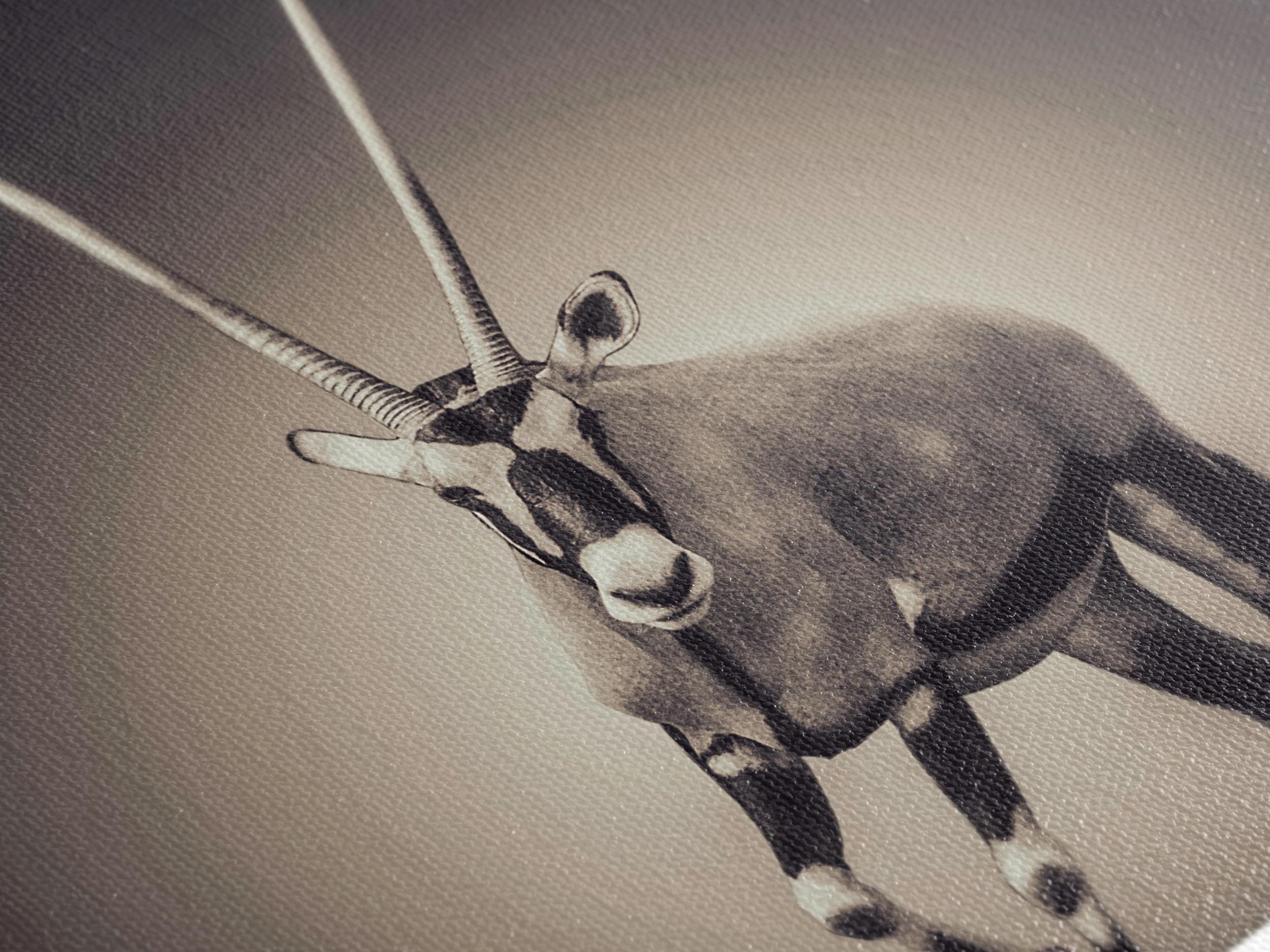 Seni Kanvas Oryx - Seni Dinding Hidupan Liar, Hiasan Dinding Safari Karya Hitam & Putih Besar, Seni Kanvas Hidupan Liar Afrika Moden, Cetakan Safari Moden