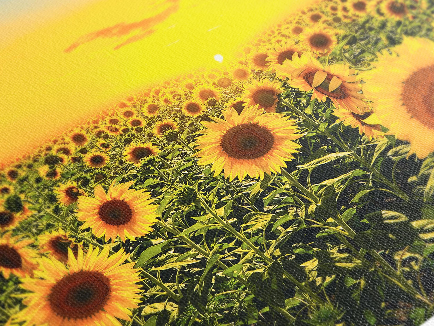 Sunflower Field Canvas Print, Sunset Landscape Wall Art, Bright Floral Decor, Large 3 Panel Sunflower Artwork, Vibrant Nature Canvas Print