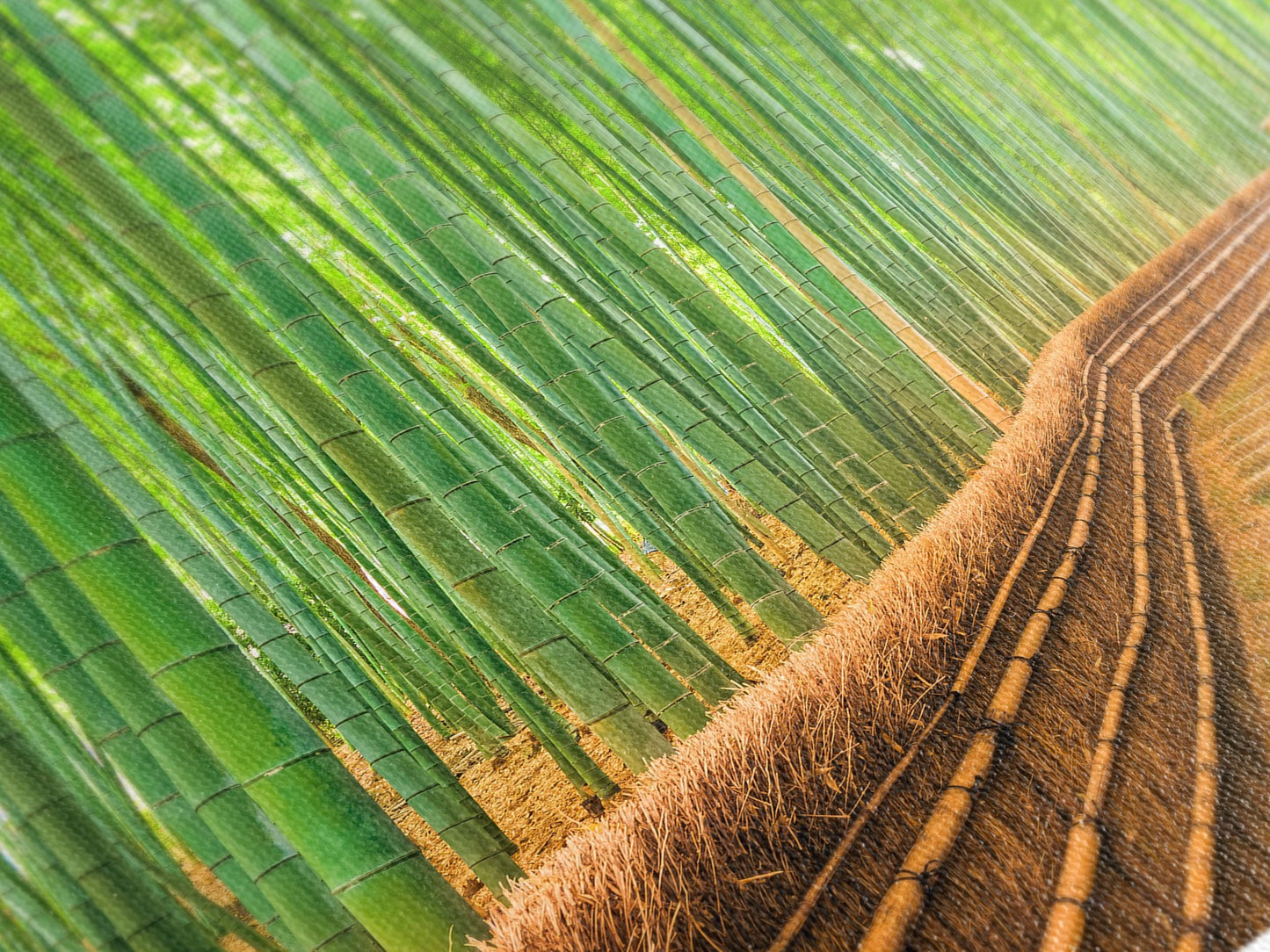 Bamboo Wall Art - Forest Path Canvas Print, Large Nature Wall Art, Green Landscape Photography, Zen Garden Decor for Living Room or Office
