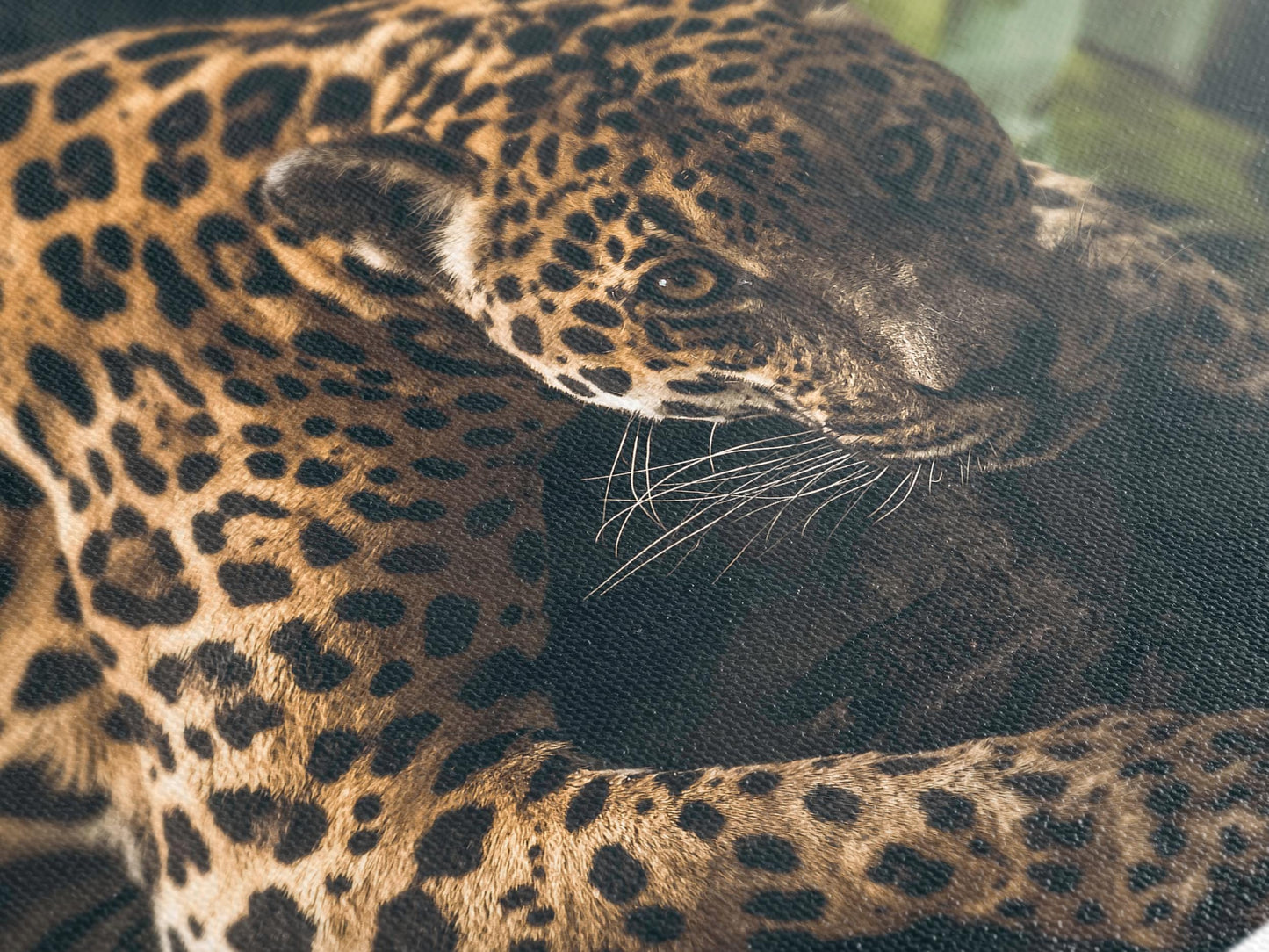 Jaguar Wall Art - Panthera Onca Canvas estampado, obra de arte de vida silvestre de la jungla de gran tamaño, estampado de bellas artes de gato salvaje, decoración de pared de fotografía de vida silvestre