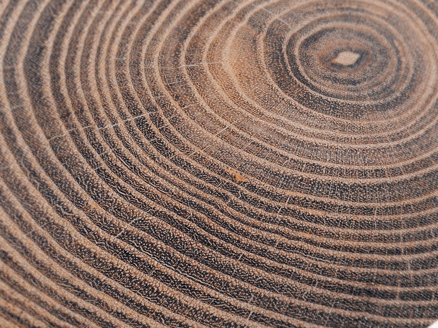 Tree Ring Wall Art – Extra Large Wood Grain Canvas Print, Rustic Art Earthy Decor, Nature-Inspired Wall Art for Living Room & Office Decor