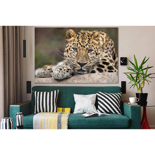 Leopard Portrait №SL1019 Ready to Hang Canvas PrintCanvas art arrives ready to hang, with hanging accessories included and no additional framing required. Every canvas print is hand-crafted, made on-demand at our workshop and expertly stretched around 100