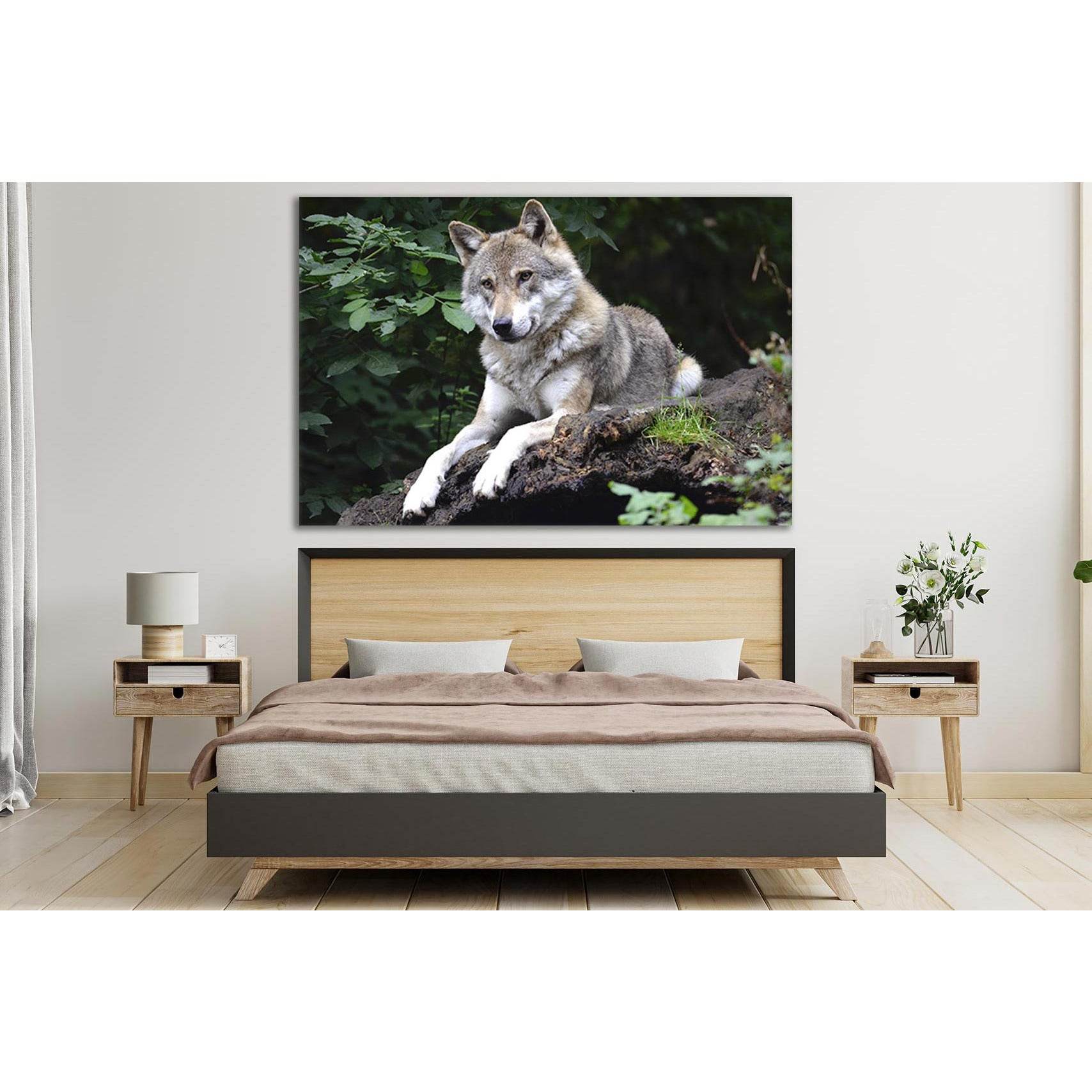 Wolf On A Stone №SL1002 Ready to Hang Canvas PrintCanvas art arrives ready to hang, with hanging accessories included and no additional framing required. Every canvas print is hand-crafted, made on-demand at our workshop and expertly stretched around 100%