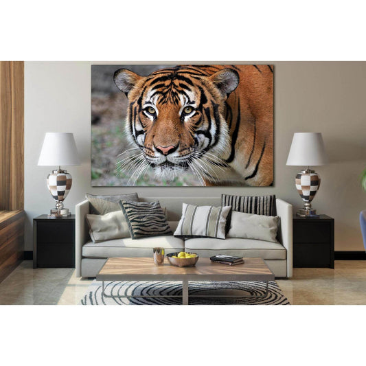 Portrait Of A Tiger №SL1009 Ready to Hang Canvas PrintCanvas art arrives ready to hang, with hanging accessories included and no additional framing required. Every canvas print is hand-crafted, made on-demand at our workshop and expertly stretched around