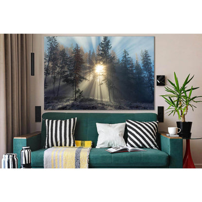 Sunlight Path In Snowy Trees №SL1574 Ready to Hang Canvas PrintCanvas art arrives ready to hang, with hanging accessories included and no additional framing required. Every canvas print is hand-crafted, made on-demand at our workshop and expertly stretche