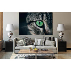 Cat Eye №SL1001 Ready to Hang Canvas PrintCanvas art arrives ready to hang, with hanging accessories included and no additional framing required. Every canvas print is hand-crafted, made on-demand at our workshop and expertly stretched around 100% North A