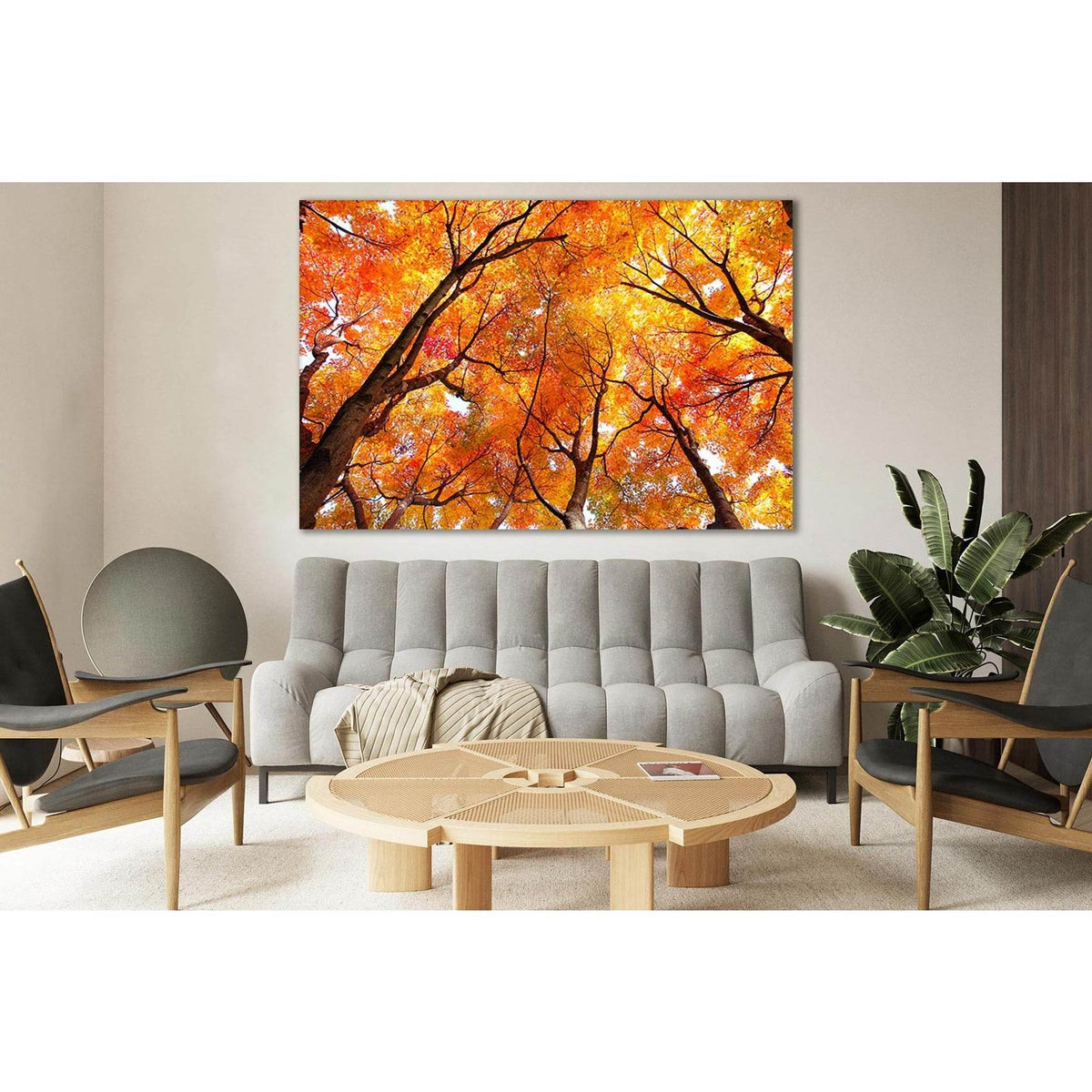Maple Tree In Autumn №SL656 Ready to Hang Canvas PrintCanvas art arrives ready to hang, with hanging accessories included and no additional framing required. Every canvas print is hand-crafted, made on-demand at our workshop and expertly stretched around