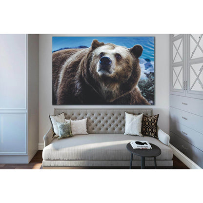 Big Brown Bear №SL1538 Ready to Hang Canvas PrintCanvas art arrives ready to hang, with hanging accessories included and no additional framing required. Every canvas print is hand-crafted, made on-demand at our workshop and expertly stretched around 100%