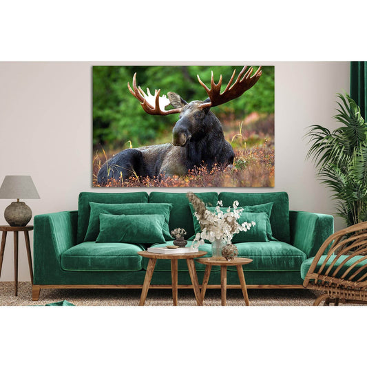 Elk Resting In The Meadow №SL1547 Ready to Hang Canvas PrintCanvas art arrives ready to hang, with hanging accessories included and no additional framing required. Every canvas print is hand-crafted, made on-demand at our workshop and expertly stretched a