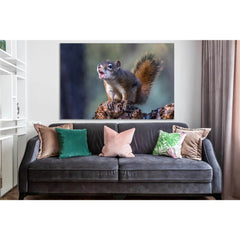 Squirrel Close Up №SL1011 Ready to Hang Canvas PrintCanvas art arrives ready to hang, with hanging accessories included and no additional framing required. Every canvas print is hand-crafted, made on-demand at our workshop and expertly stretched around 10
