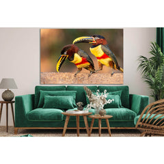 Two Pretty Toucans №SL1044 Ready to Hang Canvas PrintCanvas art arrives ready to hang, with hanging accessories included and no additional framing required. Every canvas print is hand-crafted, made on-demand at our workshop and expertly stretched around 1