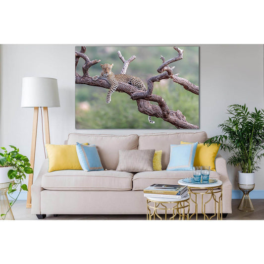 Leopard Resting On Tree №SL1004 Ready to Hang Canvas PrintCanvas art arrives ready to hang, with hanging accessories included and no additional framing required. Every canvas print is hand-crafted, made on-demand at our workshop and expertly stretched aro