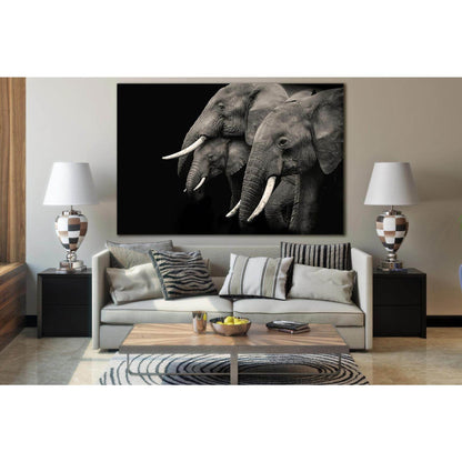 Three Elephants On Black Background №SL874 Ready to Hang Canvas PrintCanvas art arrives ready to hang, with hanging accessories included and no additional framing required. Every canvas print is hand-crafted, made on-demand at our workshop and expertly st