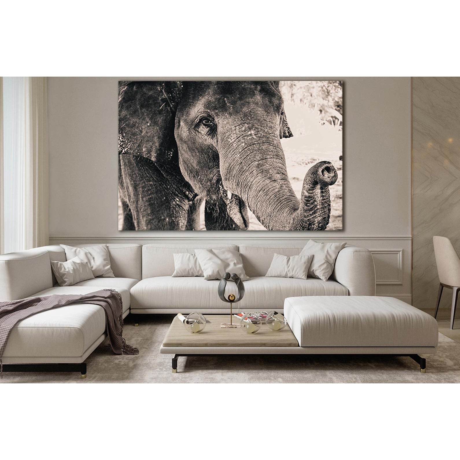 Big Elephant Monochrome Portrait №SL1505 Ready to Hang Canvas PrintCanvas art arrives ready to hang, with hanging accessories included and no additional framing required. Every canvas print is hand-crafted, made on-demand at our workshop and expertly stre