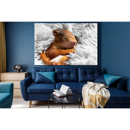 Cute Sleeping Squirrel №SL1511 Ready to Hang Canvas PrintCanvas art arrives ready to hang, with hanging accessories included and no additional framing required. Every canvas print is hand-crafted, made on-demand at our workshop and expertly stretched arou