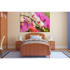 Orchid Flowers Close Up №SL682 Ready to Hang Canvas PrintCanvas art arrives ready to hang, with hanging accessories included and no additional framing required. Every canvas print is hand-crafted, made on-demand at our workshop and expertly stretched arou