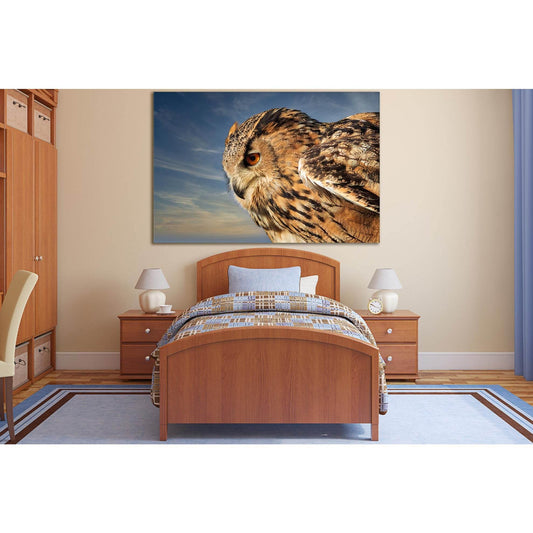 Owl Close Up №SL1027 Ready to Hang Canvas PrintCanvas art arrives ready to hang, with hanging accessories included and no additional framing required. Every canvas print is hand-crafted, made on-demand at our workshop and expertly stretched around 100% No