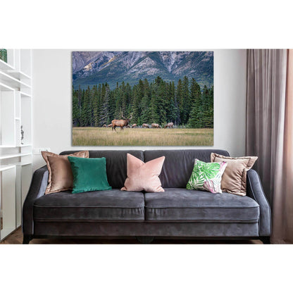 Deers In The Wild №SL1003 Ready to Hang Canvas PrintCanvas art arrives ready to hang, with hanging accessories included and no additional framing required. Every canvas print is hand-crafted, made on-demand at our workshop and expertly stretched around 10