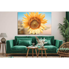 Sunflower Flower №SL683 Ready to Hang Canvas PrintCanvas art arrives ready to hang, with hanging accessories included and no additional framing required. Every canvas print is hand-crafted, made on-demand at our workshop and expertly stretched around 100%