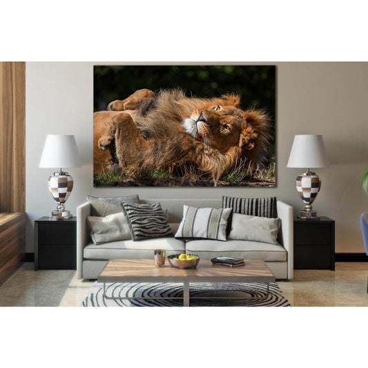 Lion Lying On His Back №SL1036 Ready to Hang Canvas PrintCanvas art arrives ready to hang, with hanging accessories included and no additional framing required. Every canvas print is hand-crafted, made on-demand at our workshop and expertly stretched arou