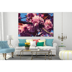 Sakura Flowers №SL522 Ready to Hang Canvas PrintCanvas art arrives ready to hang, with hanging accessories included and no additional framing required. Every canvas print is hand-crafted, made on-demand at our workshop and expertly stretched around 100% N