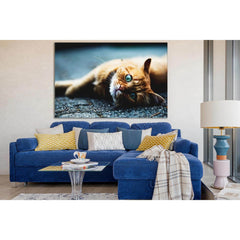 Beautiful Ginger Cat №SL1026 Ready to Hang Canvas PrintCanvas art arrives ready to hang, with hanging accessories included and no additional framing required. Every canvas print is hand-crafted, made on-demand at our workshop and expertly stretched around
