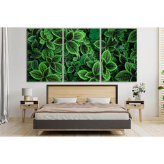 Leaves Plant Close Up №SL693 Ready to Hang Canvas PrintCanvas art arrives ready to hang, with hanging accessories included and no additional framing required. Every canvas print is hand-crafted, made on-demand at our workshop and expertly stretched around