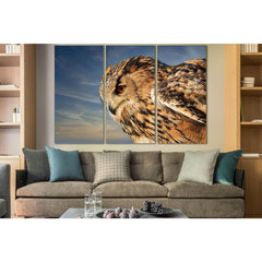 Owl Close Up №SL1027 Ready to Hang Canvas PrintCanvas art arrives ready to hang, with hanging accessories included and no additional framing required. Every canvas print is hand-crafted, made on-demand at our workshop and expertly stretched around 100% No