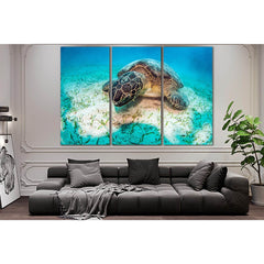 Turtle Underwater World Close Up №SL1055 Ready to Hang Canvas PrintCanvas art arrives ready to hang, with hanging accessories included and no additional framing required. Every canvas print is hand-crafted, made on-demand at our workshop and expertly stre