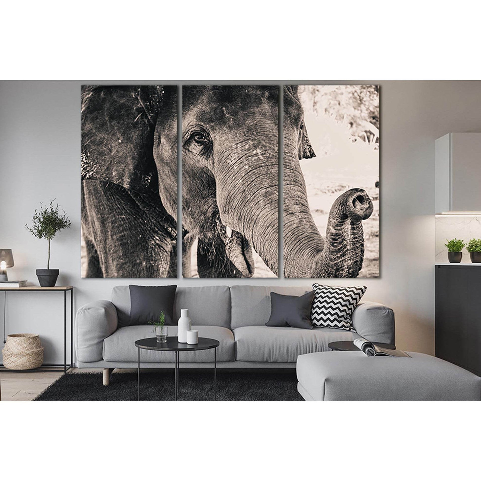 Big Elephant Monochrome Portrait №SL1505 Ready to Hang Canvas PrintCanvas art arrives ready to hang, with hanging accessories included and no additional framing required. Every canvas print is hand-crafted, made on-demand at our workshop and expertly stre