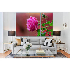 Beautiful Pink Rose Bud №SL729 Ready to Hang Canvas PrintCanvas art arrives ready to hang, with hanging accessories included and no additional framing required. Every canvas print is hand-crafted, made on-demand at our workshop and expertly stretched arou