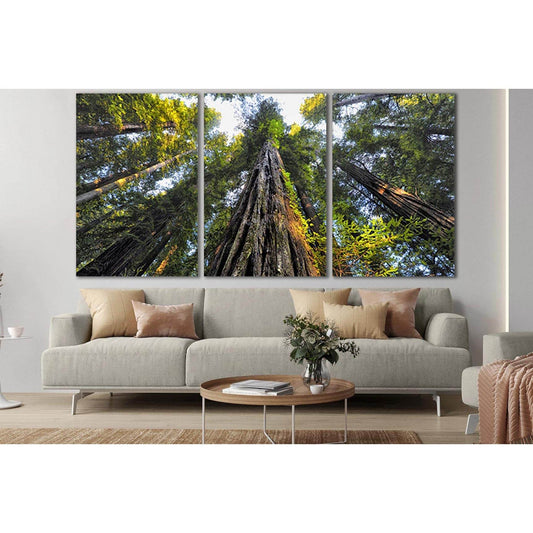 Looking Up At Trees №SL817 Ready to Hang Canvas PrintCanvas art arrives ready to hang, with hanging accessories included and no additional framing required. Every canvas print is hand-crafted, made on-demand at our workshop and expertly stretched around 1