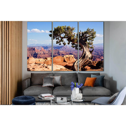 Tree Near A Cliff №SL1082 Ready to Hang Canvas PrintCanvas art arrives ready to hang, with hanging accessories included and no additional framing required. Every canvas print is hand-crafted, made on-demand at our workshop and expertly stretched around 10