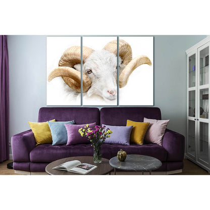 White Ram Close Up №SL997 Ready to Hang Canvas PrintCanvas art arrives ready to hang, with hanging accessories included and no additional framing required. Every canvas print is hand-crafted, made on-demand at our workshop and expertly stretched around 10