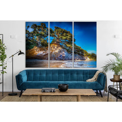 New Zealand Pine Coast №SL1064 Ready to Hang Canvas PrintCanvas art arrives ready to hang, with hanging accessories included and no additional framing required. Every canvas print is hand-crafted, made on-demand at our workshop and expertly stretched arou