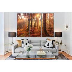 Mystery Autumn Forest And Sun Light №SL518 Ready to Hang Canvas PrintCanvas art arrives ready to hang, with hanging accessories included and no additional framing required. Every canvas print is hand-crafted, made on-demand at our workshop and expertly st