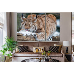 Wild Lynx On A Log №SL998 Ready to Hang Canvas PrintCanvas art arrives ready to hang, with hanging accessories included and no additional framing required. Every canvas print is hand-crafted, made on-demand at our workshop and expertly stretched around 10