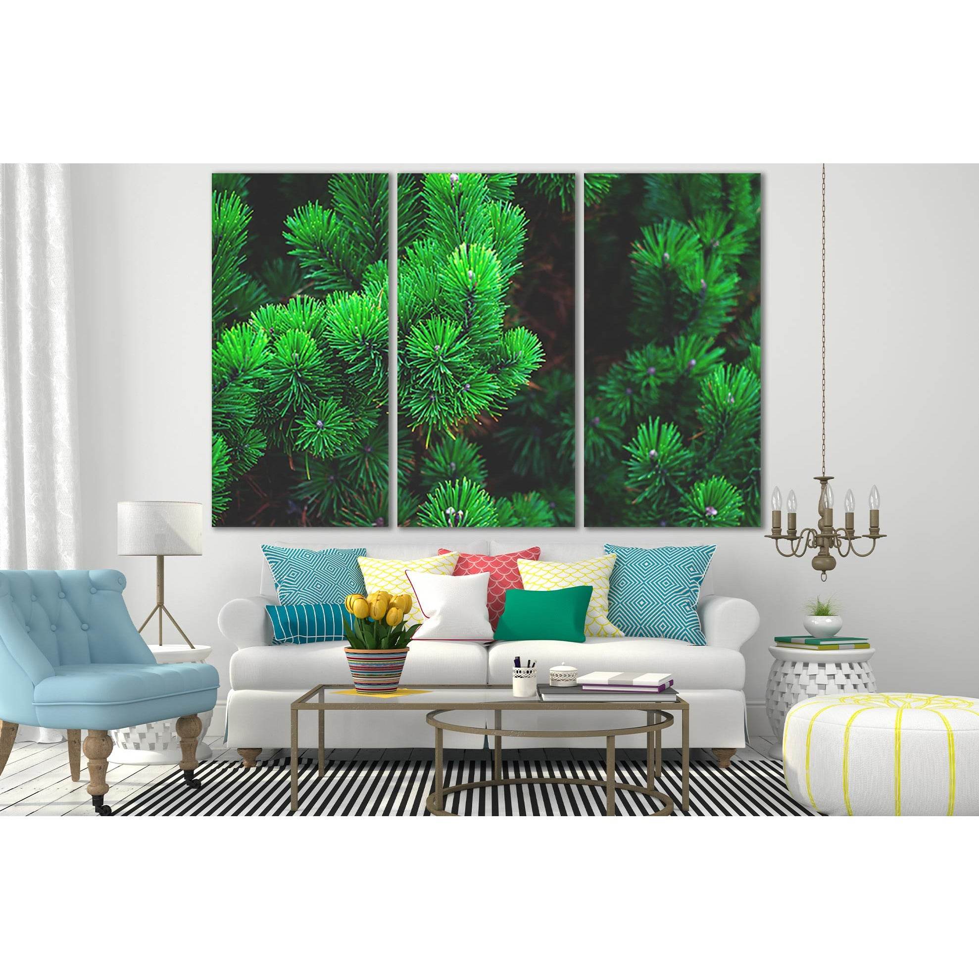 Beautiful Pine Needles №SL512 Ready to Hang Canvas PrintCanvas art arrives ready to hang, with hanging accessories included and no additional framing required. Every canvas print is hand-crafted, made on-demand at our workshop and expertly stretched aroun