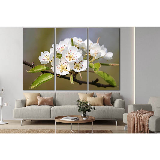 Flowering Pear №SL495 Ready to Hang Canvas PrintCanvas art arrives ready to hang, with hanging accessories included and no additional framing required. Every canvas print is hand-crafted, made on-demand at our workshop and expertly stretched around 100% N