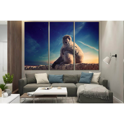 Monkey Sitting On A Stone №SL1526 Ready to Hang Canvas PrintCanvas art arrives ready to hang, with hanging accessories included and no additional framing required. Every canvas print is hand-crafted, made on-demand at our workshop and expertly stretched a