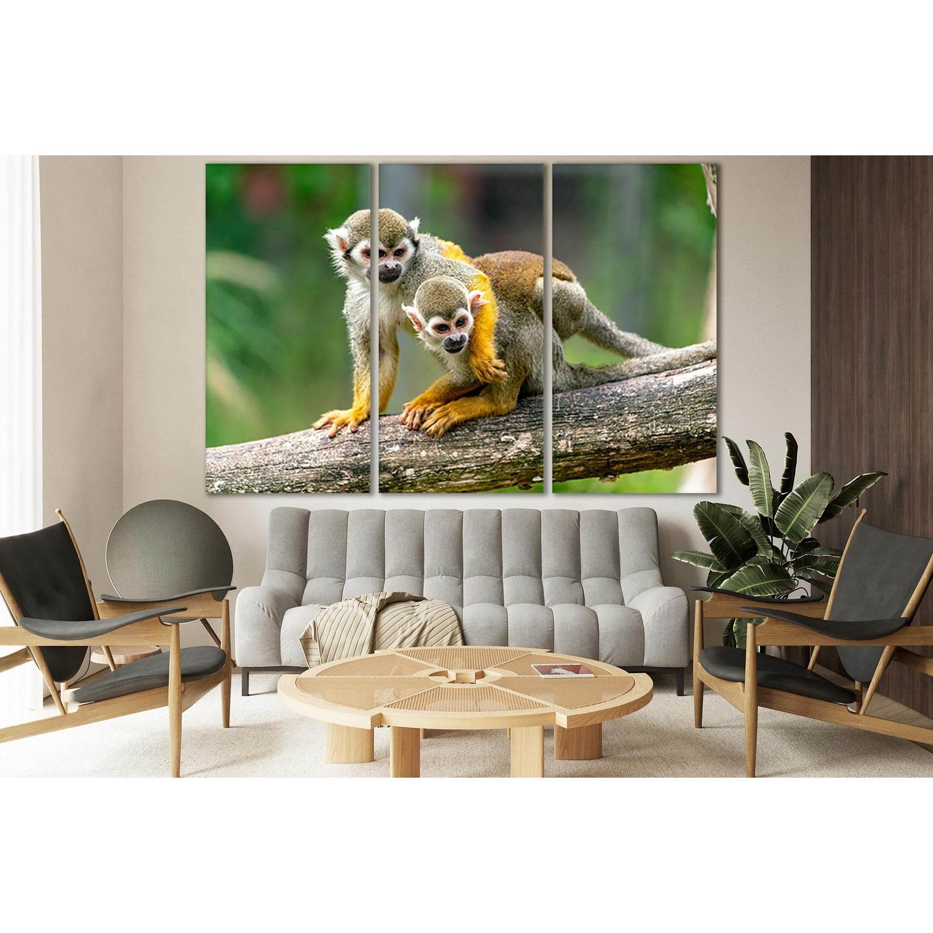 Two Monkeys On A Branch №SL1008 Ready to Hang Canvas PrintCanvas art arrives ready to hang, with hanging accessories included and no additional framing required. Every canvas print is hand-crafted, made on-demand at our workshop and expertly stretched aro