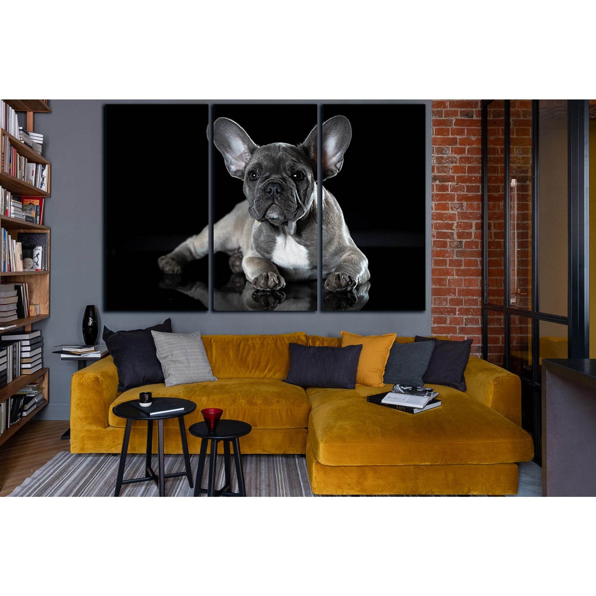 Photo Of French Bulldog №SL1050 Ready to Hang Canvas PrintCanvas art arrives ready to hang, with hanging accessories included and no additional framing required. Every canvas print is hand-crafted, made on-demand at our workshop and expertly stretched aro